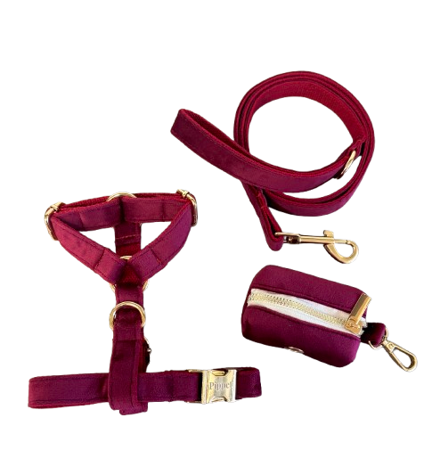 Juul set - Harnas, leiband, poepzakjeshouder Bordeaux velvet