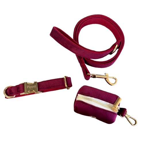Juul set - Halsband, leiband, poepzakhouder Bordeaux velvet