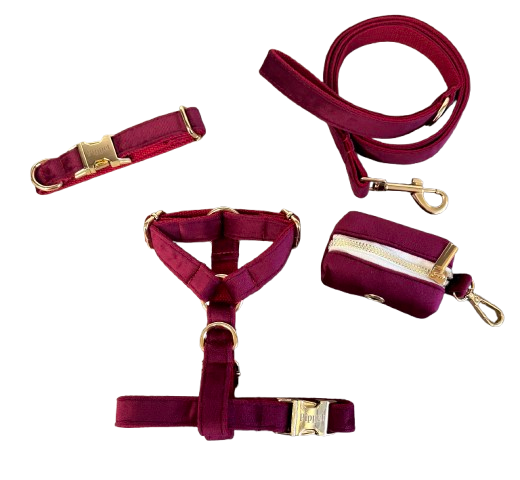Juul set -  Bordeaux velvet