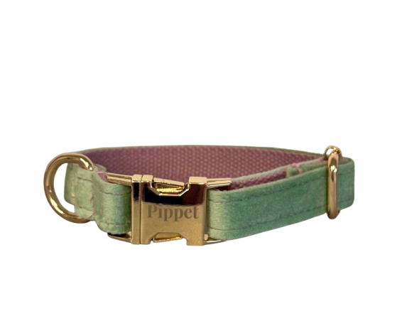 Juul halsband mintgroen