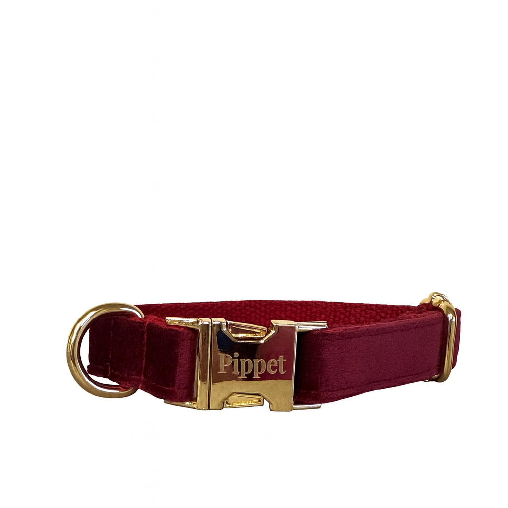 Juul halsband bordeaux
