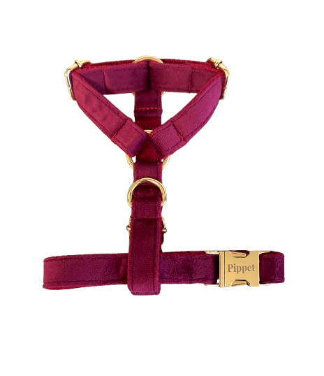 Juul harnas bordeaux