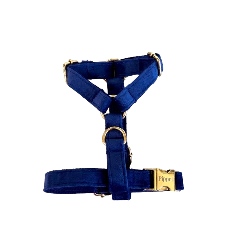 Juul harnass donkerblauw