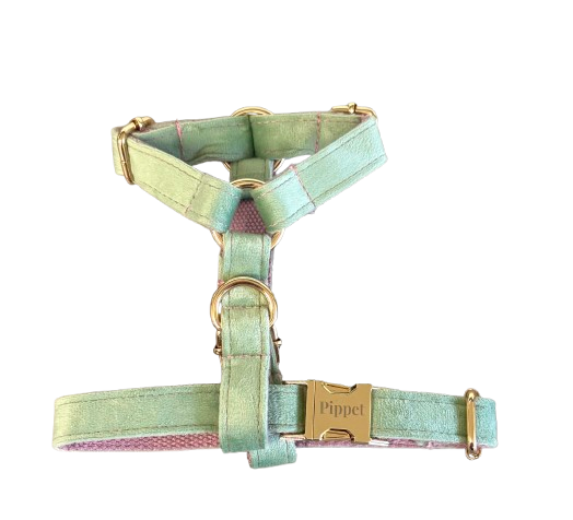 Juul set - Mintgroen velvet