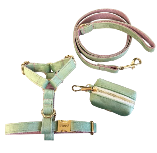 Juul set - Harnas, leiband & poepzakjeshouder Mintgroen velvet