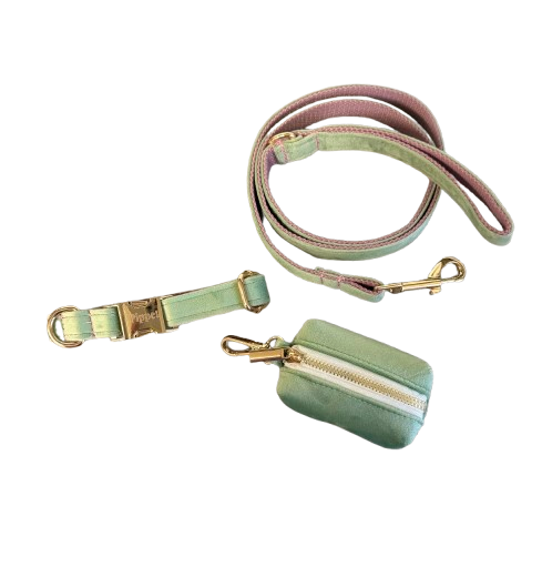 Juul set -  Halsband, leiband & poepzakjeshouder Mintgroen velvet