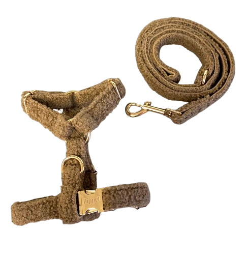 Pip set - Harnas en leiband Bruin teddy