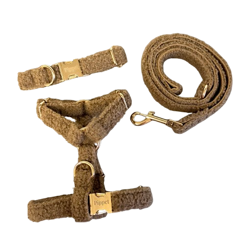 Pip set - Bruin teddy